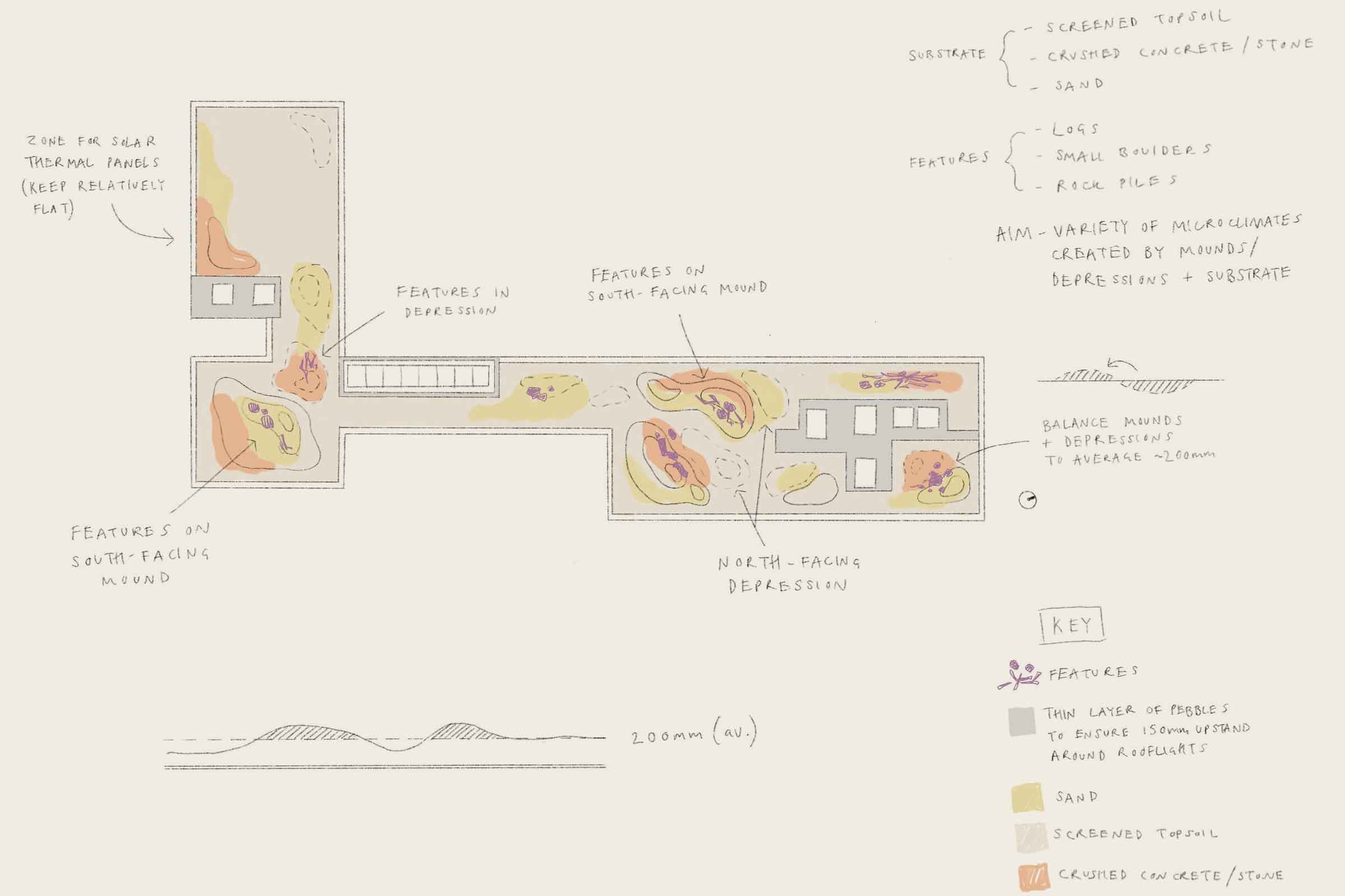 Field House – Seed Landscape Design